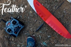 feather-glider-dlg-thumb-3