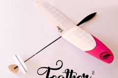 feather-squared-soaring-glider-thermal-king-ultralight-nanao-rc-glider-micro-microbirds-feather