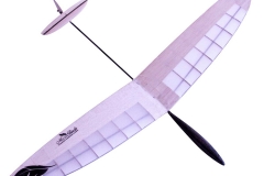 rc-radio-control-DLG Discus launch Glider kits airplane hobby