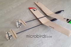 Micro-plane-DLG-HLG-RC-Radio-Controlled-Glider-orange-black