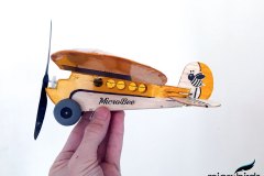 micro-lazy-bee-electric-rc-airplane-kit-microbirds-radio-control-airplane-fly-toy-hobby