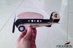 micro-lazy-bee-rc-airplane-toy-