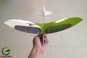micro-owl-rc-airplane-small-glider-radio-control-microbirds-design