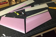 fast-micro-flying-delta-wing-microbirds-super-sonic