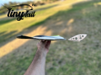 RC glider TIny Tail MciroBirds light weight ultralight ultrasmall