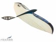 electric-battery-powered-radio-controlled-airplen-glider-microbirds-RC-tiny-tail