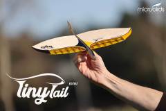 tiny-tail-mini-hand-launch-rubber-band-launch-rc-glider-airplane-microbirds