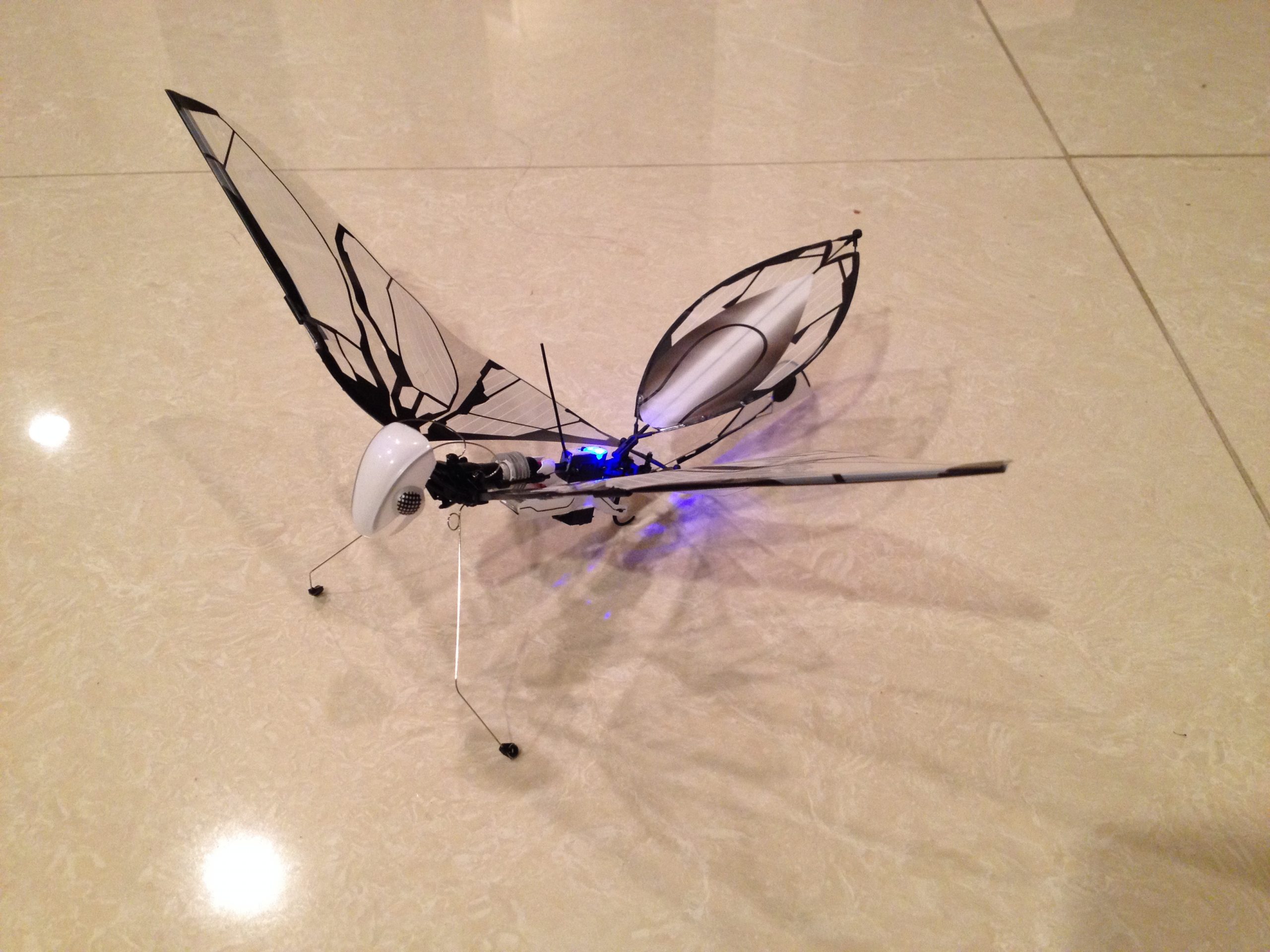 rc ornithopter