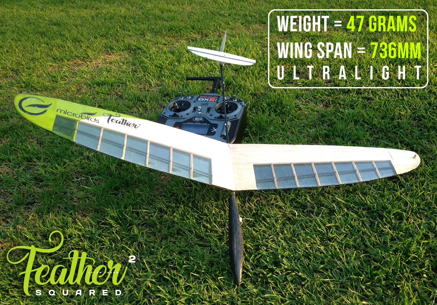 carbon fiber rc glider