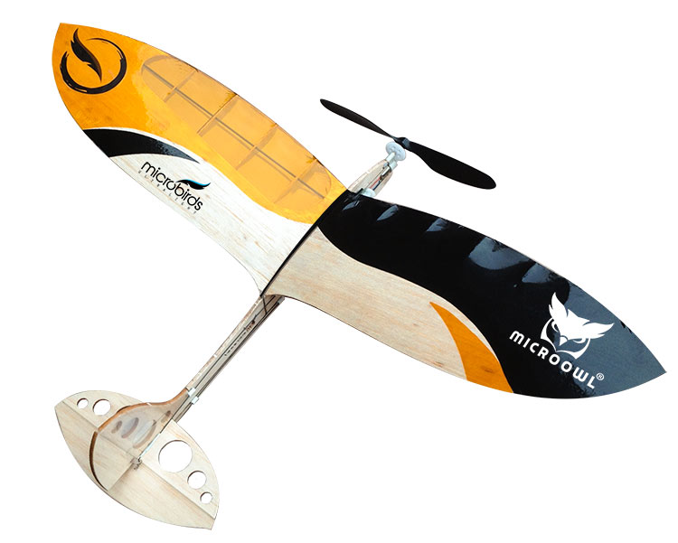 Micro 2024 rc glider