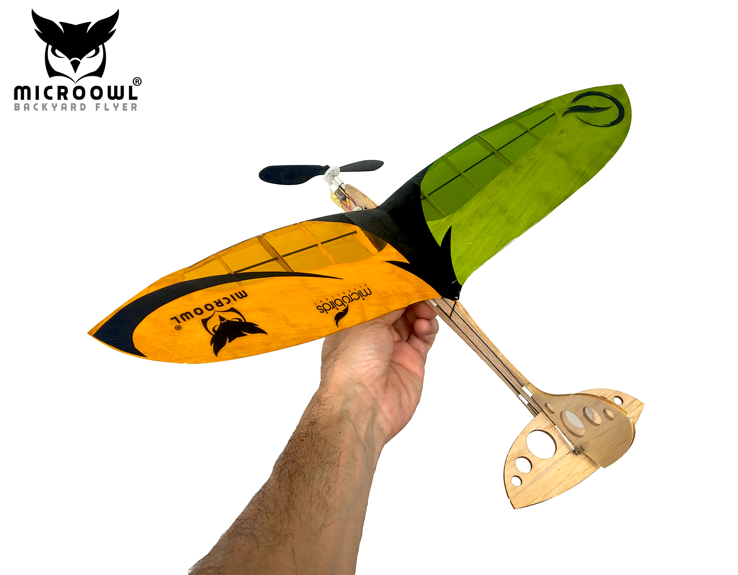 Bird best sale rc plane